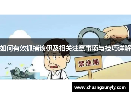 如何有效抓捕该伊及相关注意事项与技巧详解