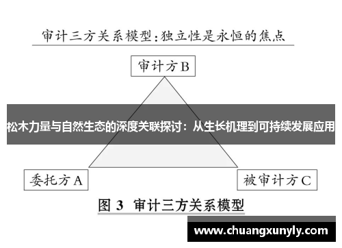 松木力量与自然生态的深度关联探讨：从生长机理到可持续发展应用